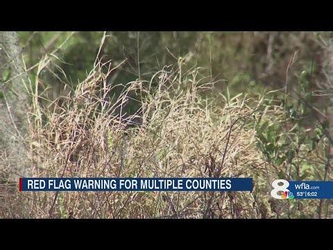 Red Flag Warning issued for multiple counties in Tampa Bay area