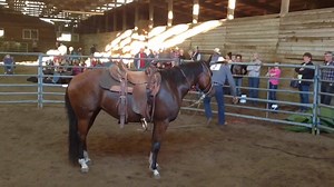 4.3K views · 54 reactions | What a great event the Burlington Colt Starting Challenge was! The Winner was Torrey Belus of Clinton WA, Second Place was Tim Collett of Sunnyside WA, Third Place was Jordan Pace of Everton WA. Also shown is Russell Beatty of Burlington WA, and James Maze of Camino Island WA. #Naturalhorsemanship, #coltstarting, #horses | Colt Starting Challenge USA | Facebook