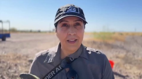 'This is where it all started:' 17th Annual Agave Heritage Festival kicks off at Mission Gardens