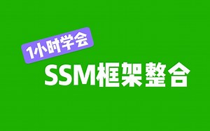 【极简上手】1小时学会SSM框架整合