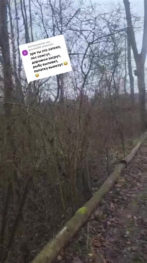 Exploring Wild Camping in Nature