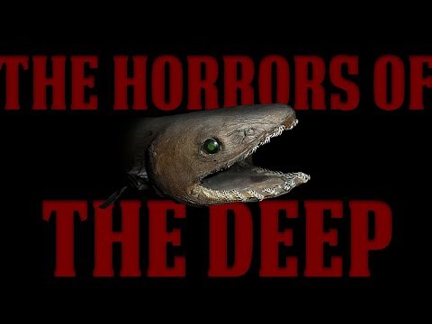 The Ocean is Terrifying