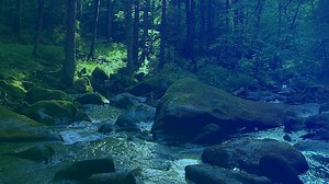 Sound of Creation: Sonic Meditations