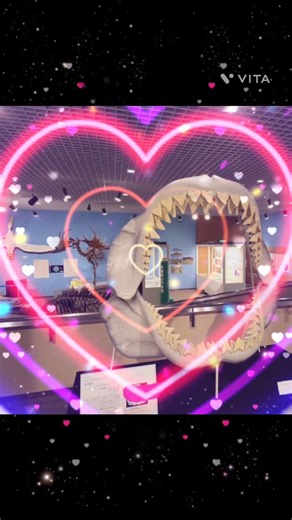 【ムカシオオホホジロザメ】岩手県立博物館📸🦈