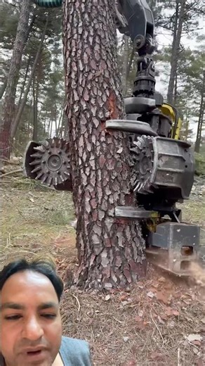 Tree cutting machine ￼