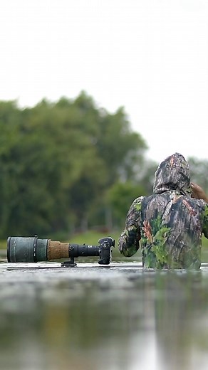 1.4M views · 10K reactions | angle eyelevel . . . . #wildlifephotographer #wildlifephotos #wildlifephotography #photographylovers #photographerindonesia #photography #reels #nikon #best_bird_photography #best_birds_of_ig #awpchk #nature #naturephotography #natgeo | Agus Syaputra | Facebook