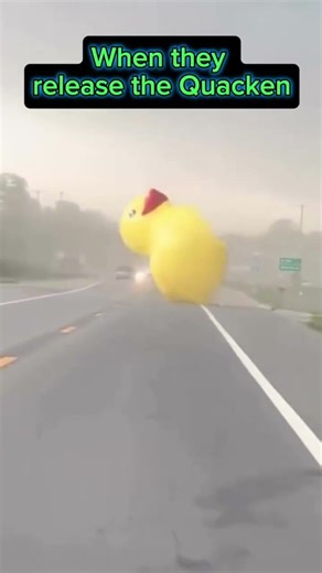 when they release the Quacken #funny #memes #fails