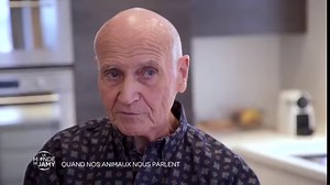 Un perroquet, ça parle énormément! Enzo est l’un des perroquets francophones les plus loquaces.😮😍 Crédit Le Monde de Jamy | La Victoire des Bébés