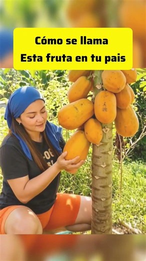 Humor #parati #popular #viralvideos #shorts #viralvideo #short #humor #comedia #viralshorts #2026