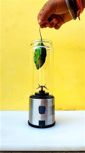 how to make bitter gourd juice at home #asmr #satisfying #creativeblender