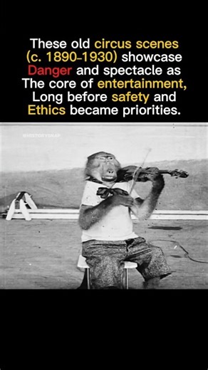 When Circus Was Pure Spectacle (1890–1930)‼️