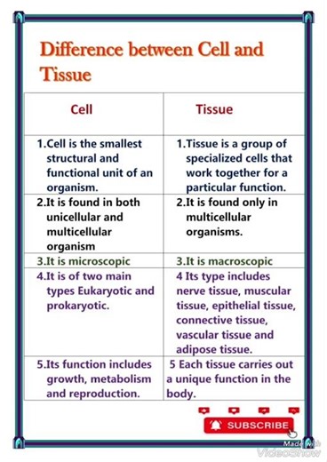 difference between cell and tissue