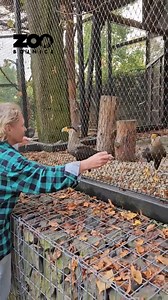 134K views · 2.3K reactions | 喙RANNÁ KONTROLA ZDRAVOTNÉHO STAVU...