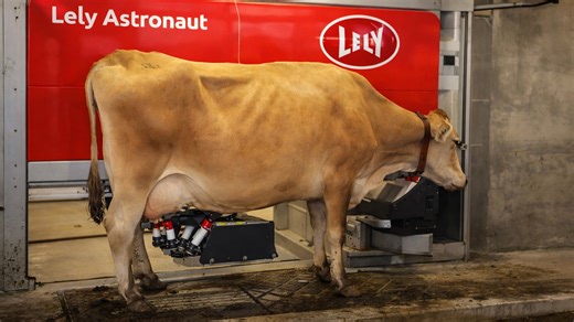 Starting robotic milking on our family farm