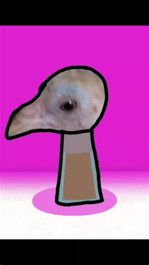 Meet Clucky: My Adorable Pet Chick