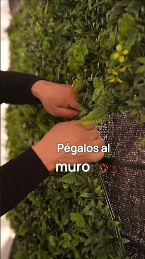 Tener muros verdes en interior y exterior que no requieren mantenimiento es muy fácil.