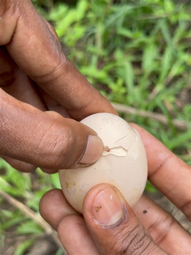 How to Eat a Raw Egg Without the Sulfur Smell