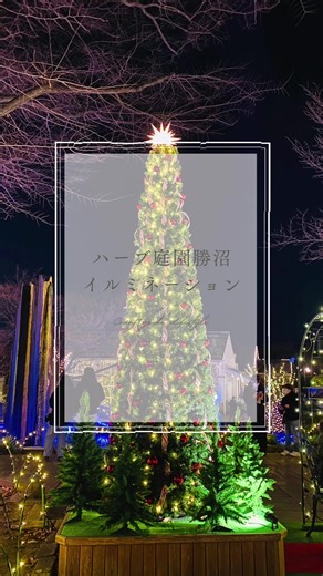 勝沼「ハーブ庭園イルミネーション」に行ってきたよ #山梨 #観光 #旅行vlog #vlog #旅行