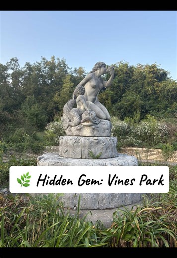 Hidden Gem: Explore Vines Park in Gwinnett County