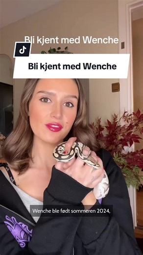 Svarer på spørsmål jeg ofte får om Wenche 🐍❤️ #slange #ballpython #repril