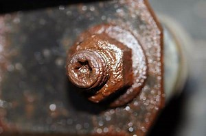 License Plate Screws Won’t Come Out: How To Remove Them?