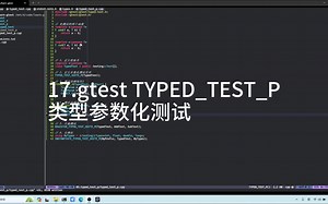 高效工作学习-gtest TYPED_TEST_P类型参数化测试