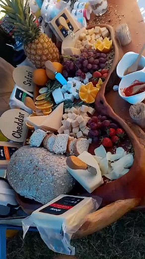 Exploring Different Types Of Cheese on a Safari Adventure