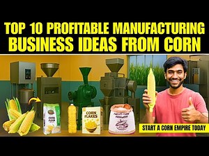 Top 10 Lucrative Business Ideas from Corn - Maize Business Ideas