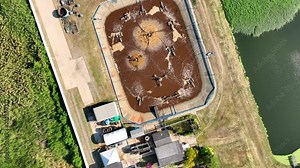 An industrial wastewater treatment pond serves as a sanctuary for aquatic life. It nurtures biodiversity while purifying harmful pollutants, contributing to a sustainable environment. Drone view.