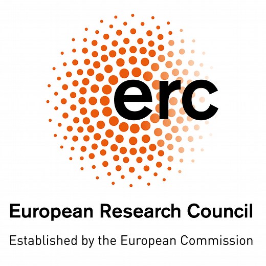 ERC Synergy Grants call