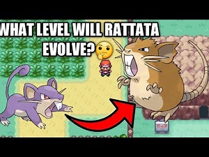 How to Evolve Rattata to Raticate on Pokemon Leafgreen/Firered