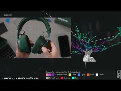 Fairphone - Getting started with the Fairbuds XL (Gen 2)