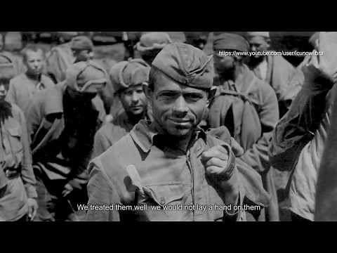 Italian Army in Russia - Julia Div. 1 of 2