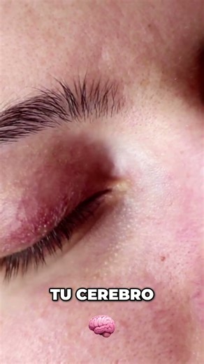 Sueños Revelados: El Misterio de la Dimetiltriptamina (DMT) #shorts