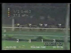 Pyramid Peak - 1995 Flamingo Stakes