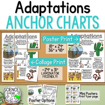 Adaptations (Physical, Behavioral) Science Anchor Chart (Poster & Collage Print)