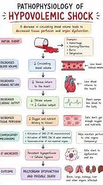 Pathophysiology of Hypovolemic shock