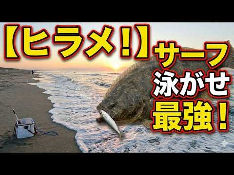 【ヒラメ釣り】サーフで泳がせ・もはや最強の釣り！