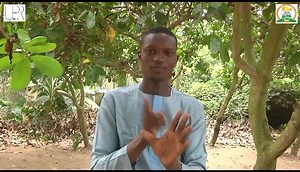 Campagne de sensibilisation sur les droits des personnes handicapées en Côte d'Ivoire @followers ♿ Accessible POUR TOUS le Groupe ♿ ACTUALITÉS IVOIRIENNES ET D'AILLEURS ACTUALITÉS DES ONG DE CÔTE D'IVOIRE Rotaract Club Abidjan Atlantis OMS CI - Organisation Mondiale de la Santé Côte d'Ivoire Association des Femmes Juristes de Côte D'Ivoire Direction de la Promotion des Personnes Handicapées UNJCI L'Officiel NTV Television Solidarite Handicap France Cameroun Onpha-Ci Auditif Reflet TV U-Report Ab