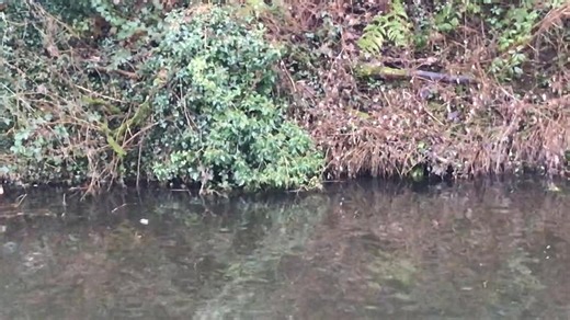 Nelson, Lancashire - Then & Now | Facebook