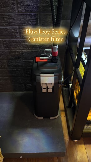 Halloween Edition Tank Upgrades! ❤️👌🏻😎 #plantedtank #plantedaquarium #fishtank #fishtok #aquarium