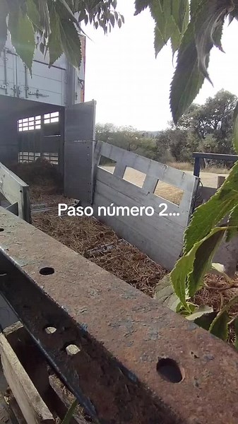 Pasos para el transporte de animales vivos en camión