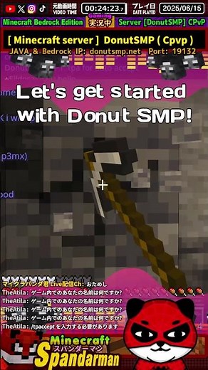 [DonutSMP] Night vision with Command NV! No torches needed [ Minecraft server ]