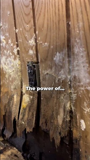 The Power of Waterproofing