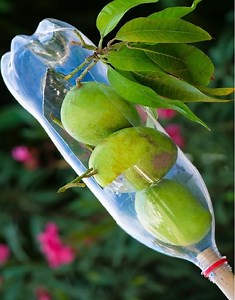 1.4M views · 6.3K shares | Best Tips for Growing Your Farm - Fruit Picker | Agriculture Technology | Facebook