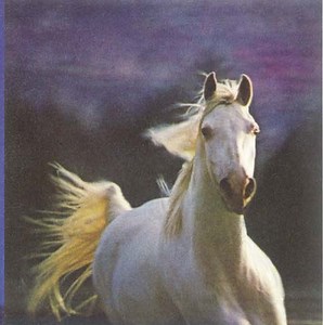 Curbside Classic: 1979 Ford Mustang - A Fresh Start - Curbside Classic