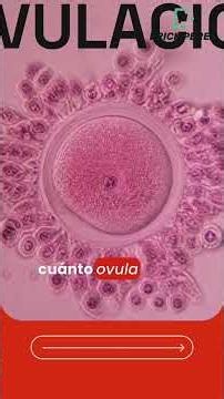 🧠🧬 Hipófisis: la glándula maestra que coordina gran parte de tu organismo