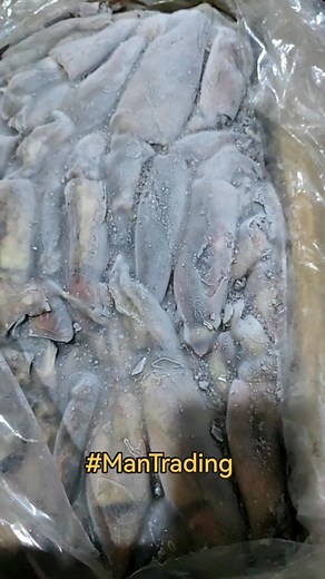 Pusit Calamares Vietnam 100-150grams 10kilos isang box. Direct Storage Price Supplier of Pusit Calamares. Looking for Provincial Partners and Clients. DM us for details and orders. #ManTrading #pusit #calamares #seafood #calamari | ManTrading