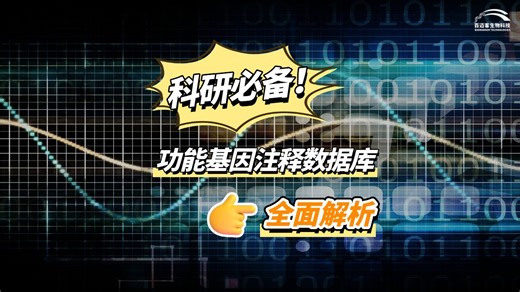 科研必备：全面解析NR、Swissport、GO及KEGG功能基因注释数据库