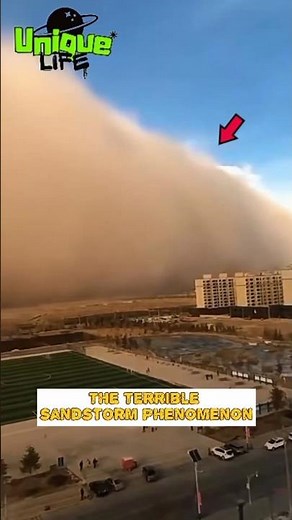 Terrifying Phenomenon of Destructive Sandstorms #sandstrom